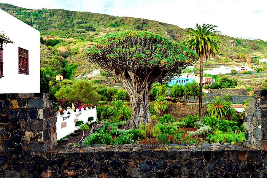 Carroussel Tenerife (10)