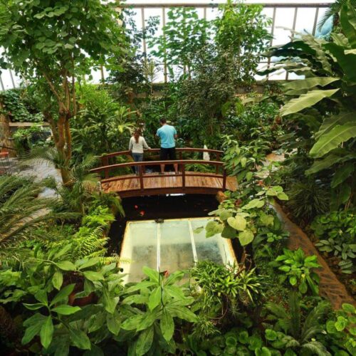 Mariposario_003